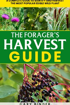 The Forager’s Harvest Guide