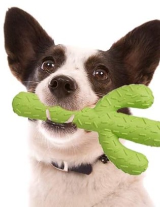 MewaJump Dog Chew Toys, Durable Rubber Dog Toys for Aggressive Chewers, Cactus Tough Toys for Training and Cleaning Teeth, Interactive Dog Toys for Medium/Large Dog